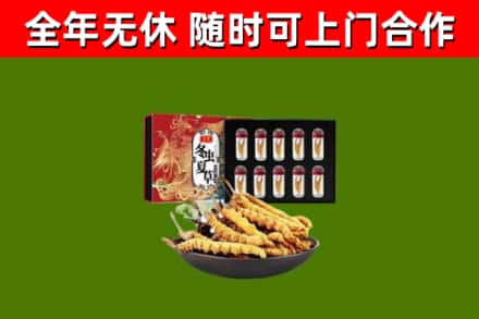 相城回收冬虫夏草价格